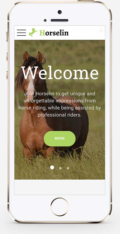 (自适应手机)养马场畜牧业英文网站pbootcms模板 马匹饲养养殖场网站模板下载(图1)