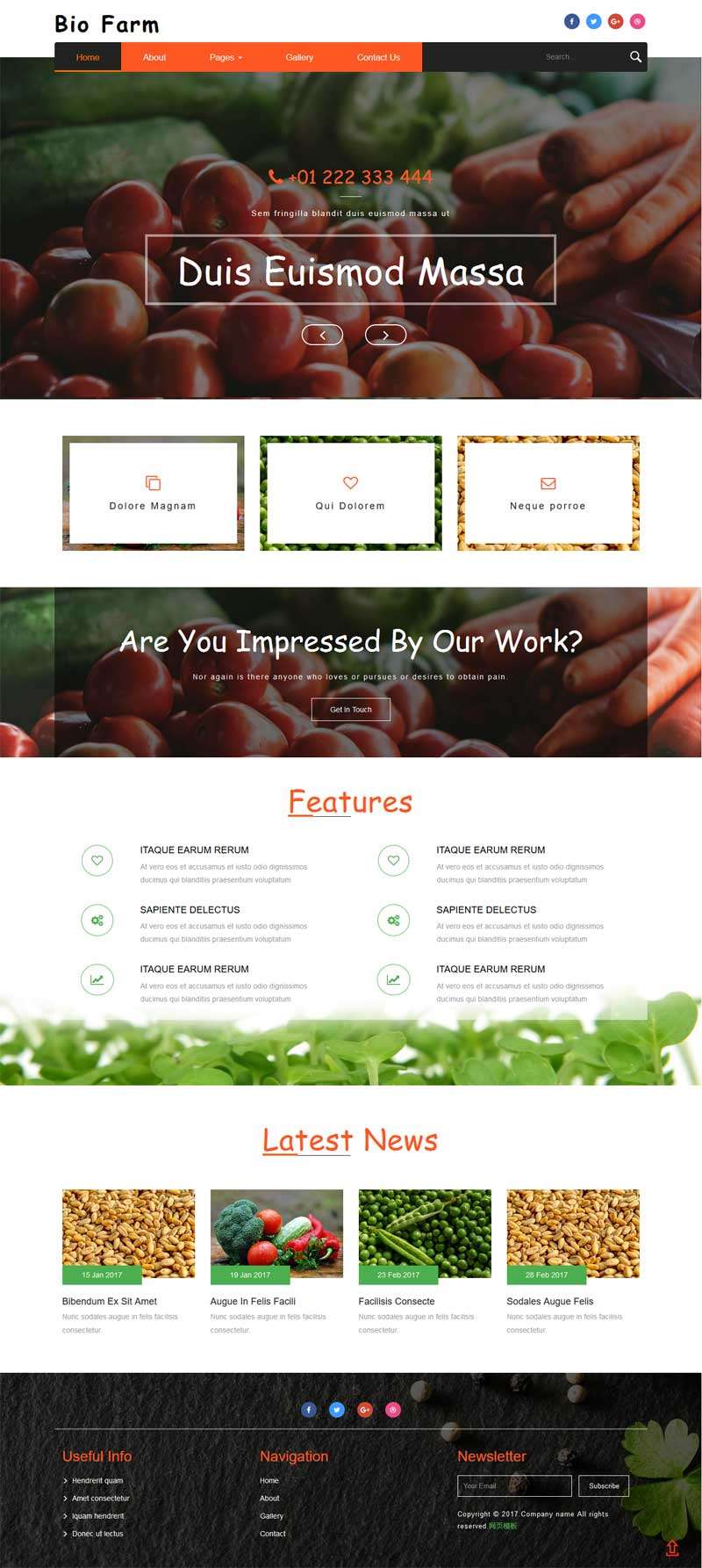 有机蔬菜水果种植网站模板html下载(图1)