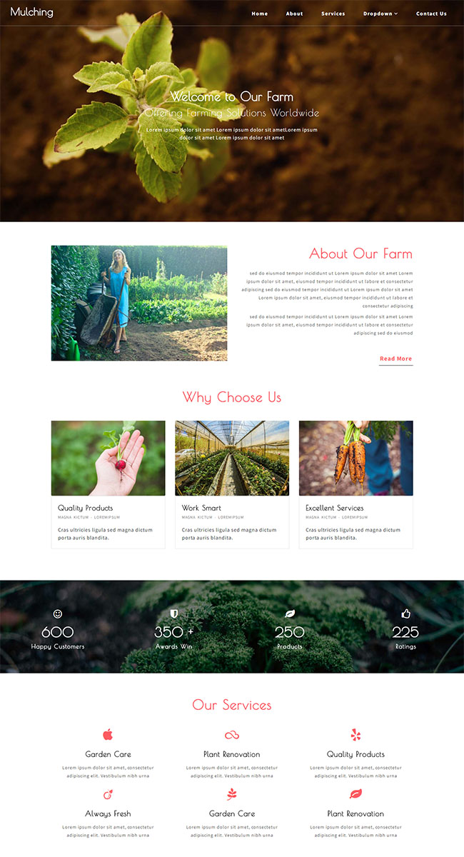 简洁农场种植企业网站模板(图1)
