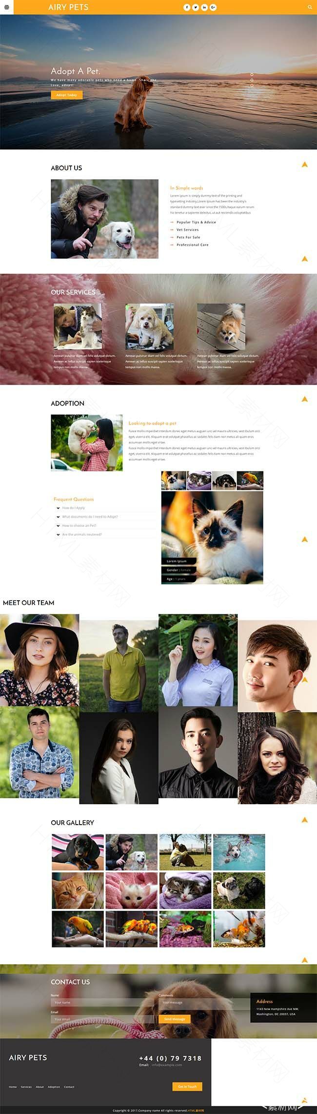 橙色宠物主题响应式网站模板下载- 素材8