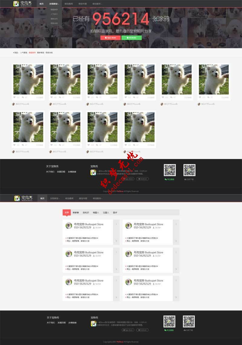 黑色宠物交流图片分享网站宠物展示模板html源码下载