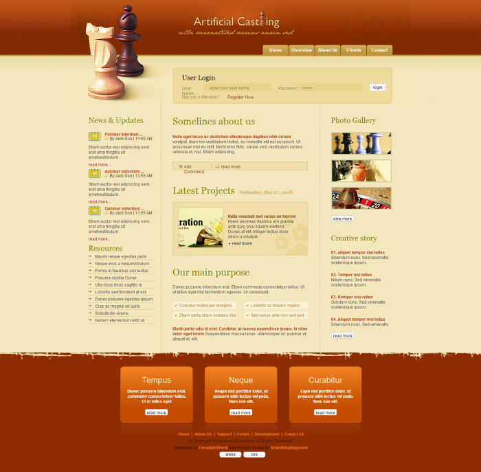 非常漂亮的橙色个人网页模板(图1)