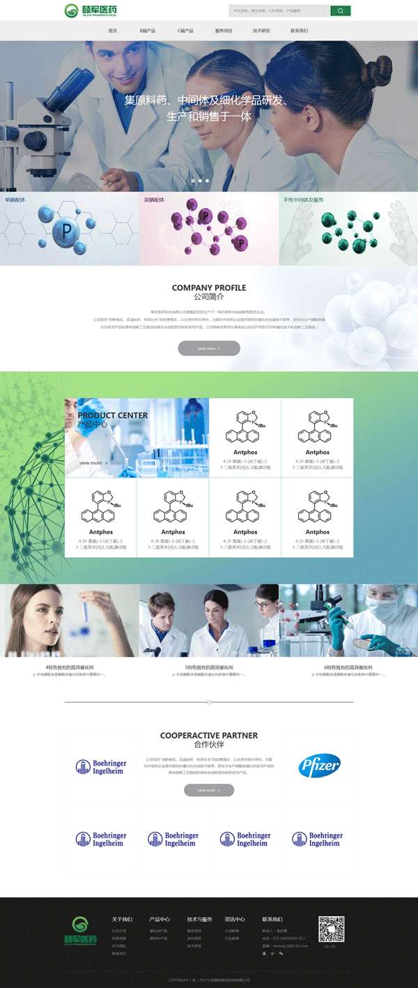 生物医药化学公司网站模板(图1)