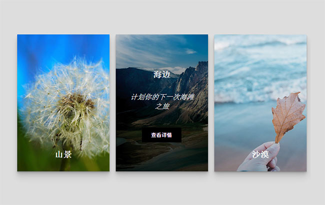 CSS3图片卡片悬停动画特效(图1)