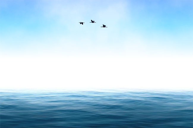 SVG大海海鸥飞过场景特效(图1)