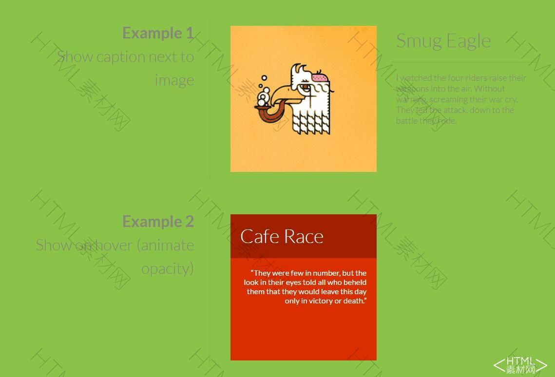 css3伪元素和data属性创建漂亮的图片caption标题动画效果(图1)