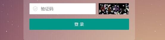 PbootCMS后台登录验证码看不清怎么回事？(图1)